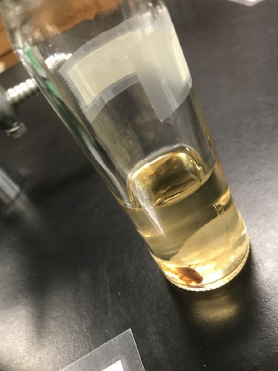 <p>For the following specimen (clear specimen on the right), give the entire taxonomy and the name of the specimen(s)</p>
