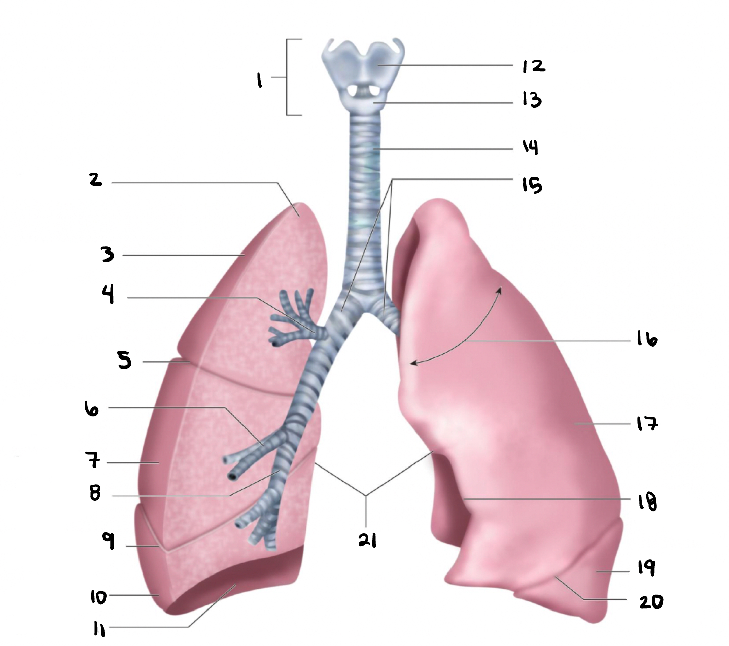 <p>7</p>