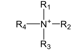 <p>C. Neutral Nitrogen atoms (cannot donate electrons to a proton):</p><p>We have four of those groups:</p><ol start="4"><li><p>Quaternary Ammonium nitrogen (the nitrogen is attached to 4</p><p>carbon atoms and there is no lone pair).</p></li></ol><p></p>
