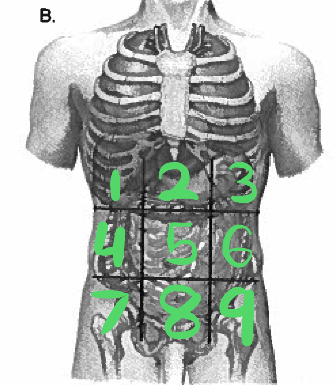 <p>6</p>