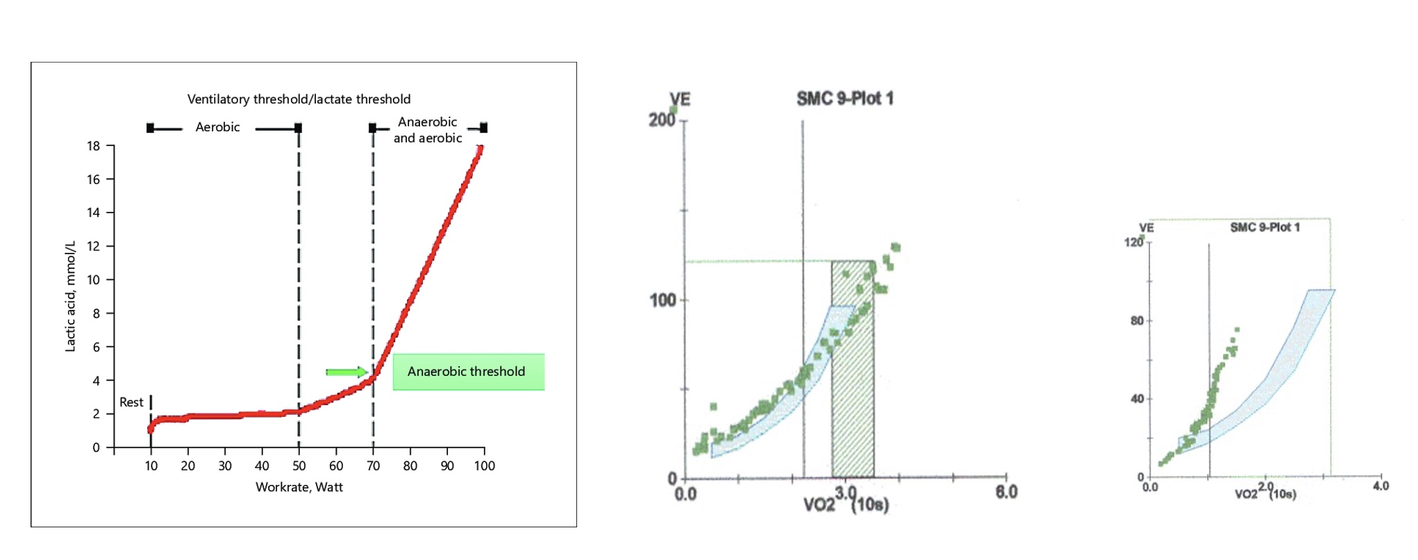 <p>-Rx below OBLA</p><p>*normal in middle, COPD far right</p><p>-COPD breathes twice as much</p><p>-increase ADL if can breathe easier; most efficent</p>