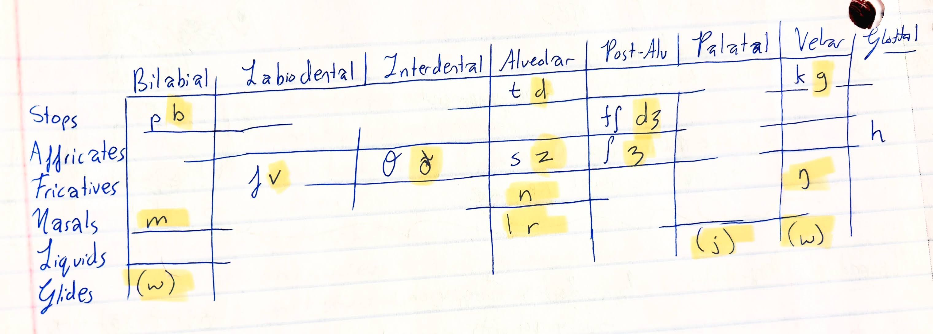 <p>Which natural class defines these sounds?</p>