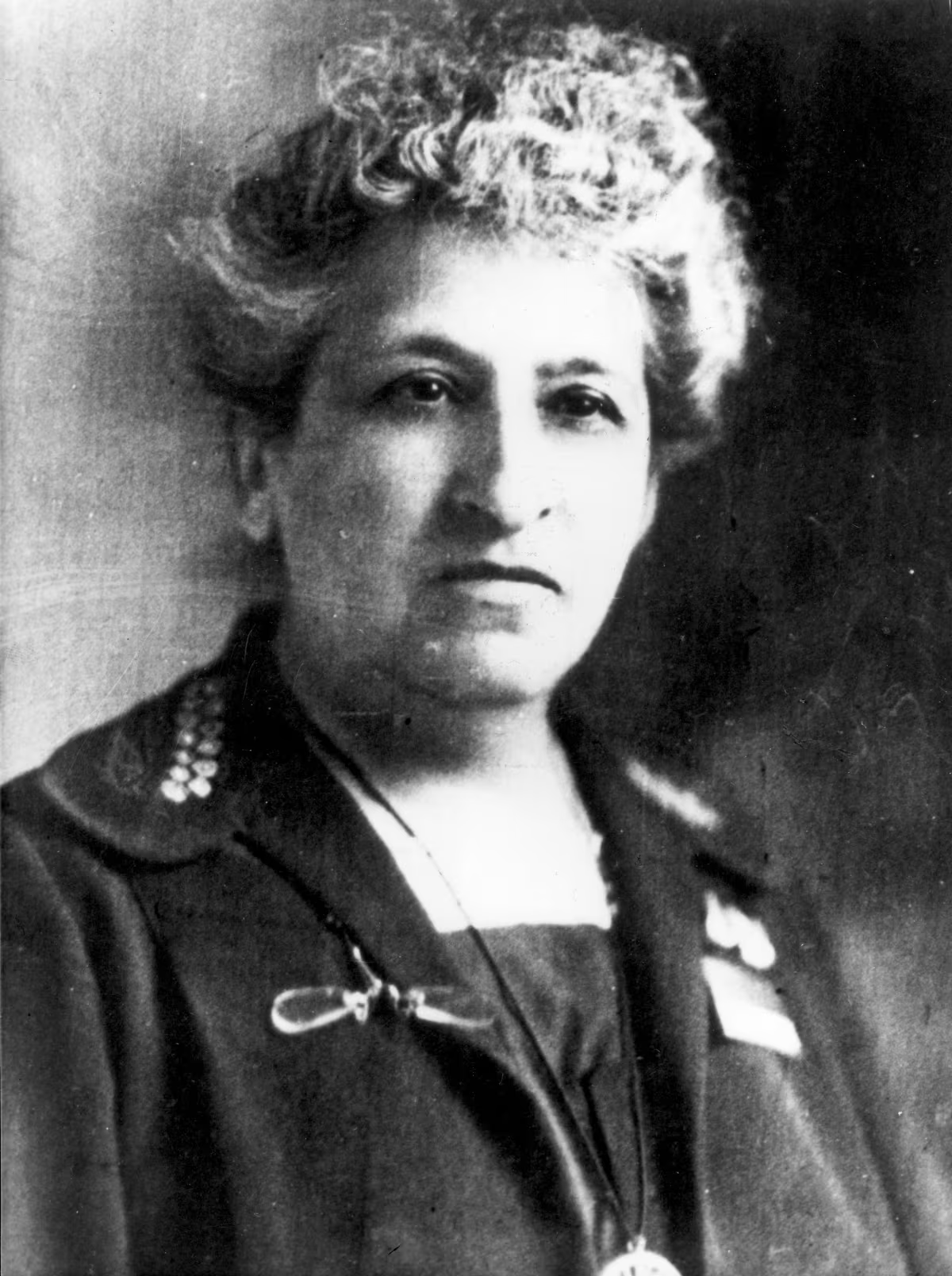 <p><span>Was huisarts, feministe en oprichtster van de Vereniging voor Vrouwenkiesrecht (vanaf 1894).</span></p>