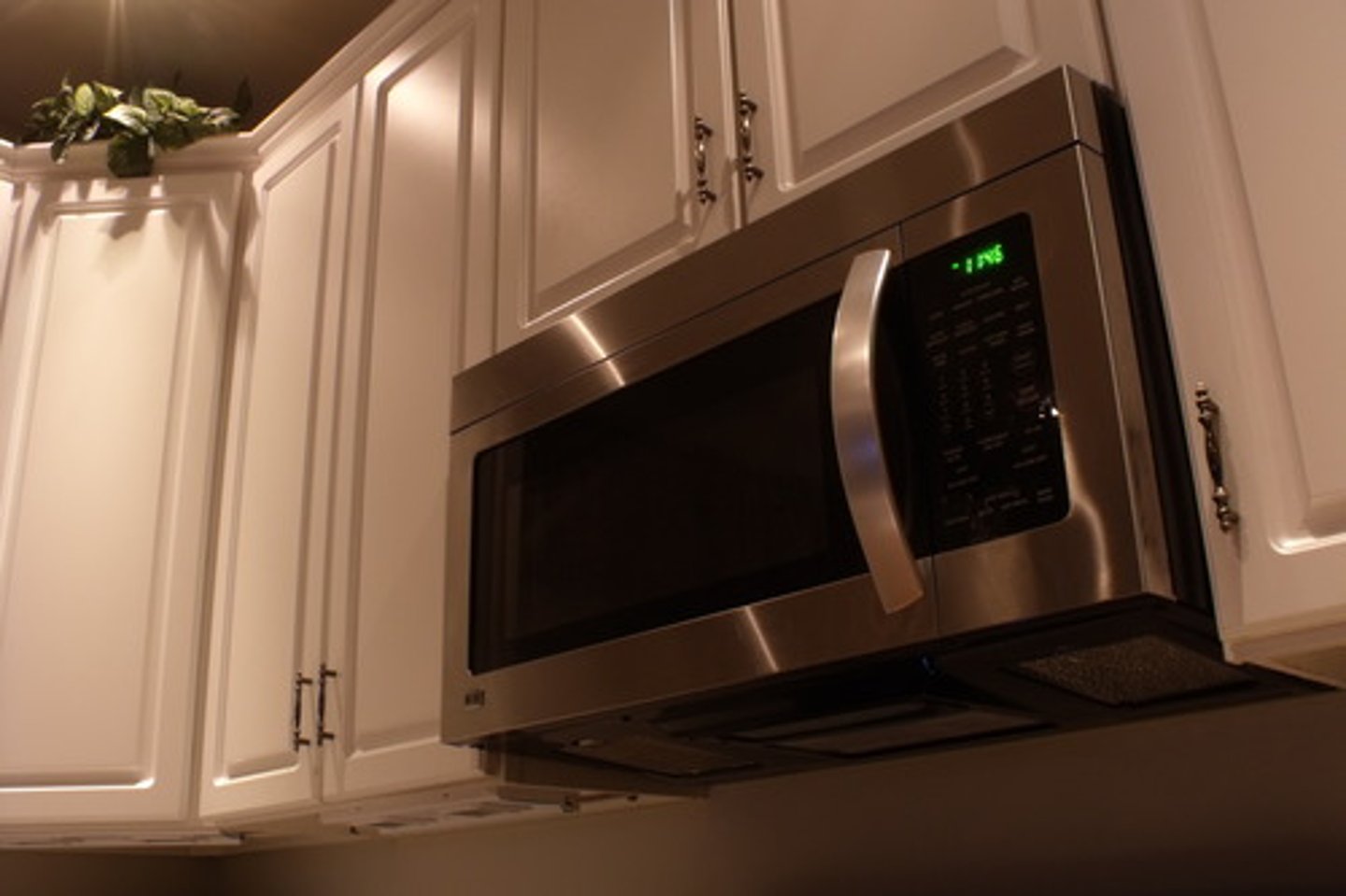 <p>microwave oven</p>