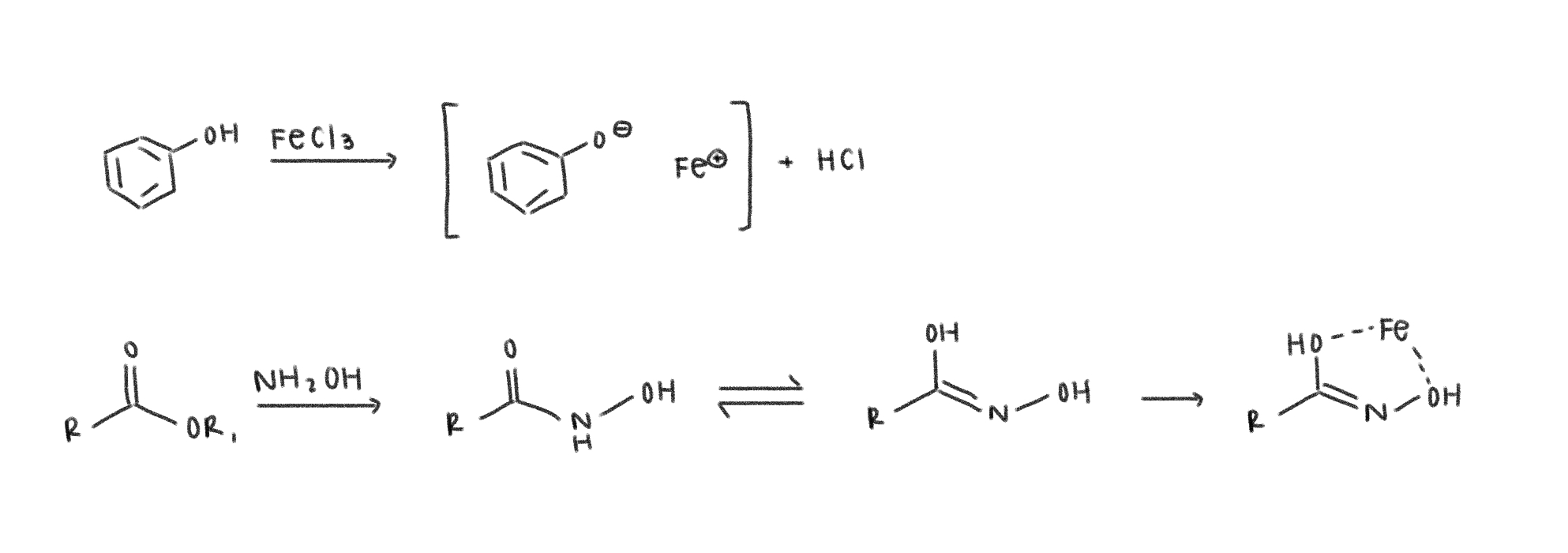 <p>goal - test for phenols or esters</p><ul><li><p>part 1 - tests for phenols</p></li><li><p>part 2 - tests for esters</p></li><li><p>looking for pronounced color change in both for positive result</p></li></ul><p></p><p>*carbonyls that easily tautomerize to enols can give false positive</p>
