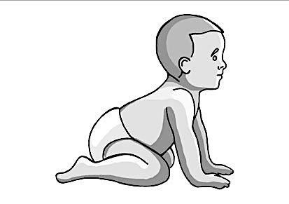 <ul><li><p>Crawling</p></li><li><p>Postural balance</p></li><li><p>Protective responses as infants master voluntary movement &amp; operate upright against gravity</p></li></ul><p></p>