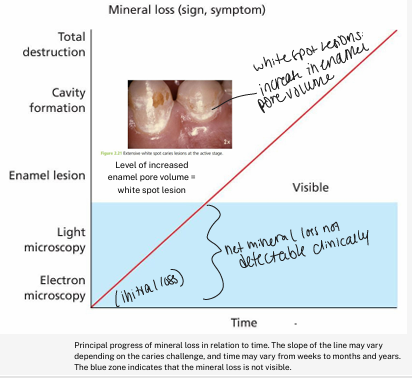 <p>-initial loss of mineral at a nano-level to total tooth destruction</p><p>-demineralization progresses very slowly in most individuals</p><p>-demineralization is kept active when there is a disturbance in the physiological equilibrium in the biofilm covering the affected site</p><p>-anything that influences the equilibrium will influence the development and progression of caries</p>