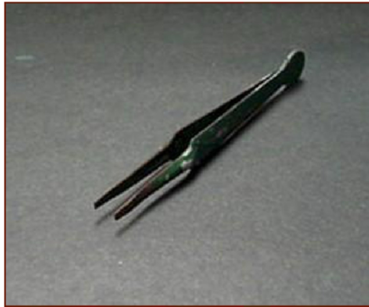<p>used to pick up or hold small items</p>