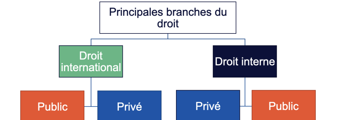 <p>Principales Branches du Droit </p>