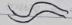 <p>Curved Lines</p>
