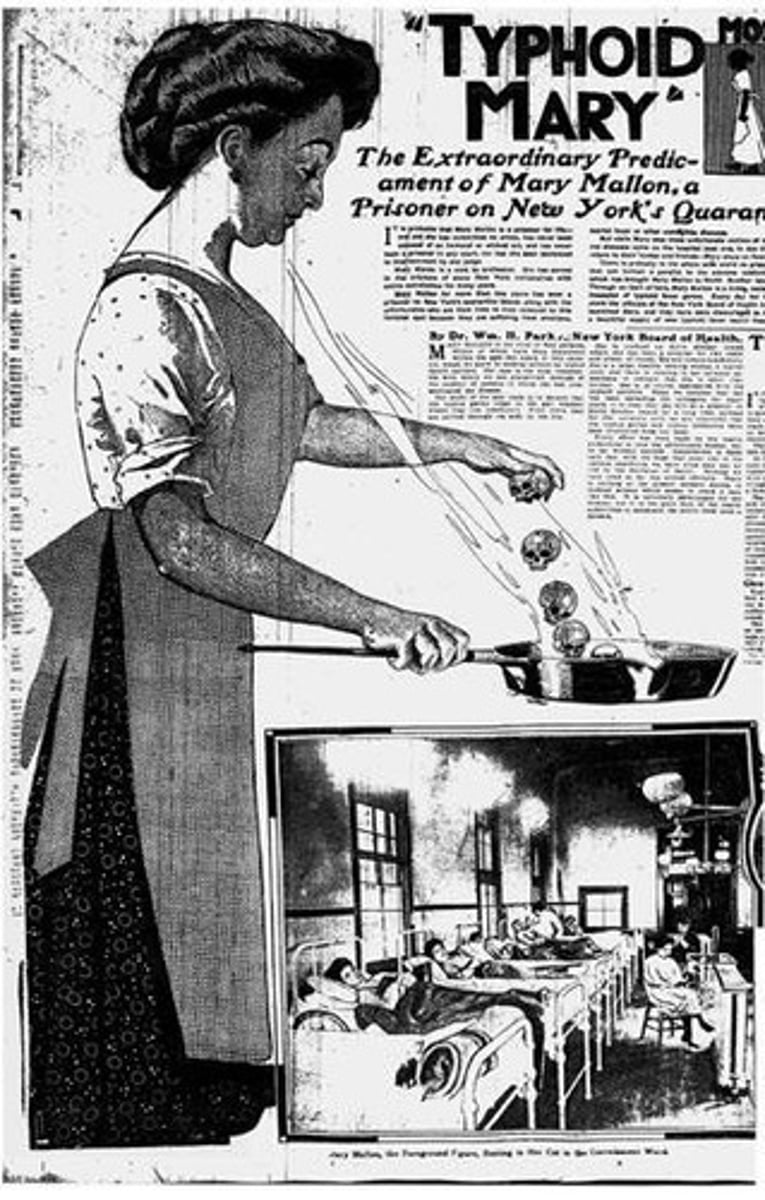 <p>Mary Mallon, responsible for at least 53 cases of typhoid fever while working as a cook.</p>