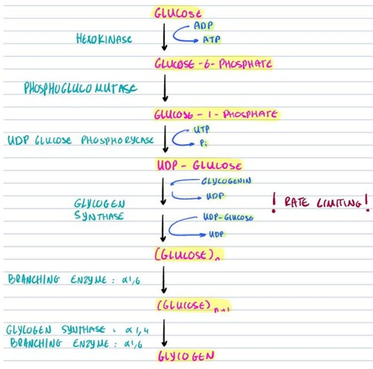 knowt flashcard image