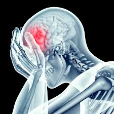 <p>Neurotransmitter that regulates stress</p>