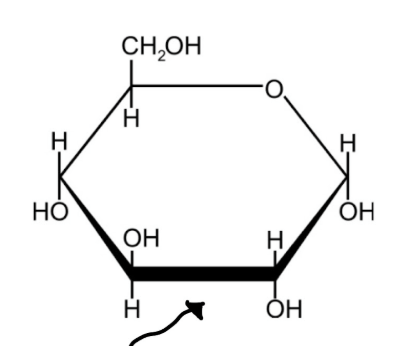 <p><strong>1:2:1 carbon, hydrogen, oxygen ratio</strong></p><ul><li><p>3 major classifications&nbsp;</p><ul><li><p>monosaccharides (1 monomer)</p></li><li><p>disaccharides (2 monomers)</p></li><li><p>polysaccharides (3+ monomers)</p></li><li><p></p></li></ul></li></ul><p></p>