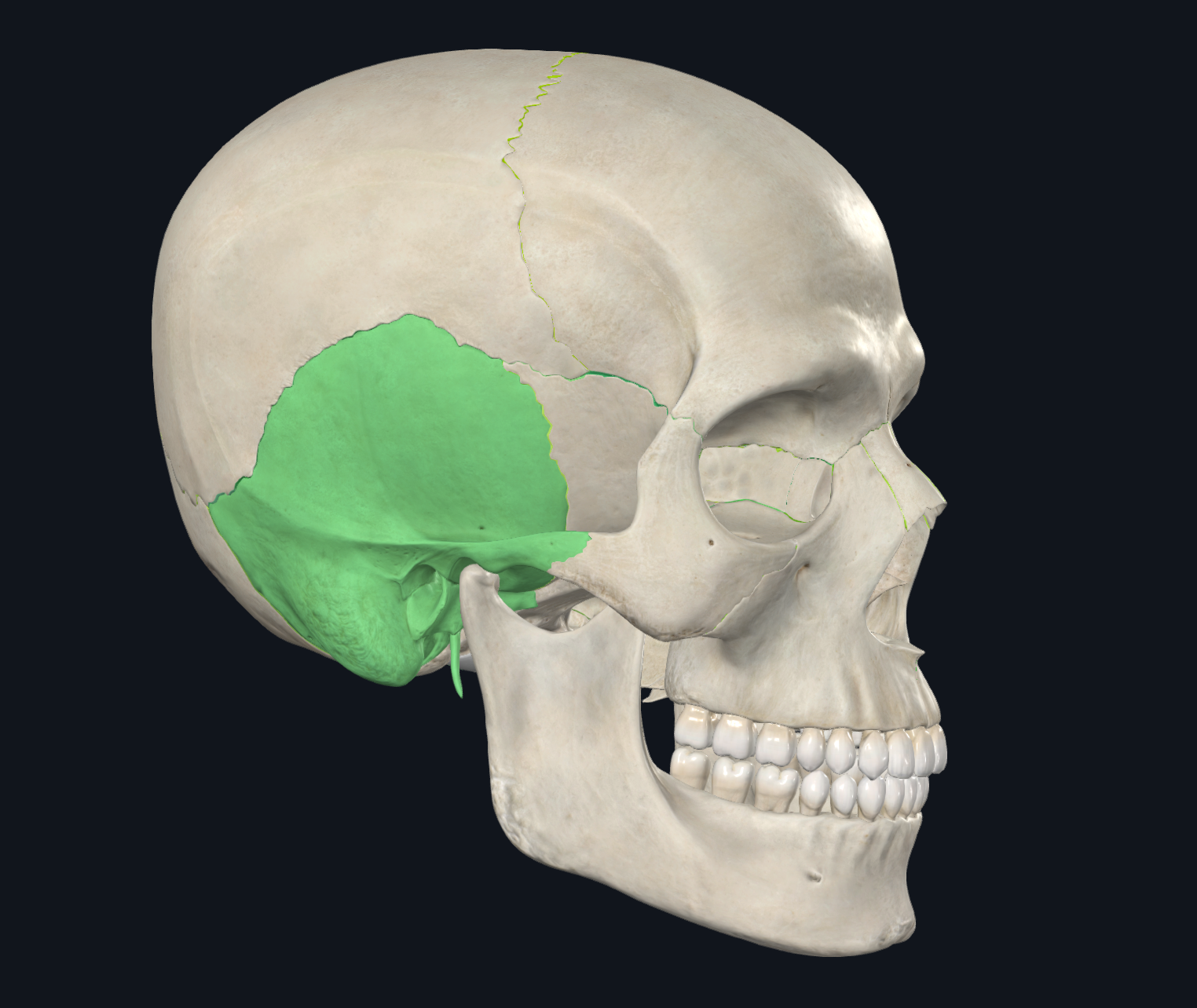 knowt flashcard image