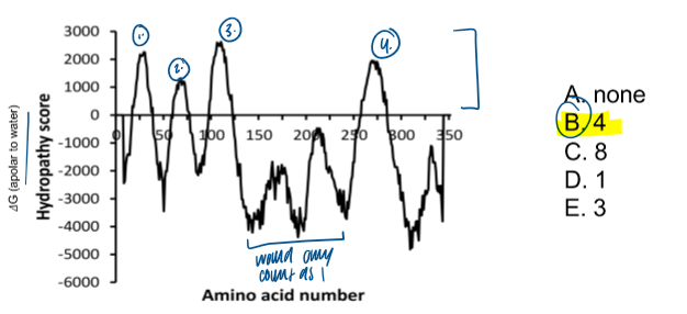 <p>4</p><p>apolar → water  = + G </p>
