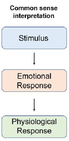 <p>Stimulus → emotional response → physiological response</p><ul><li><p>person sees something scary (lion), then they exhibit the emotional response, then the physiological response</p></li></ul><p></p>