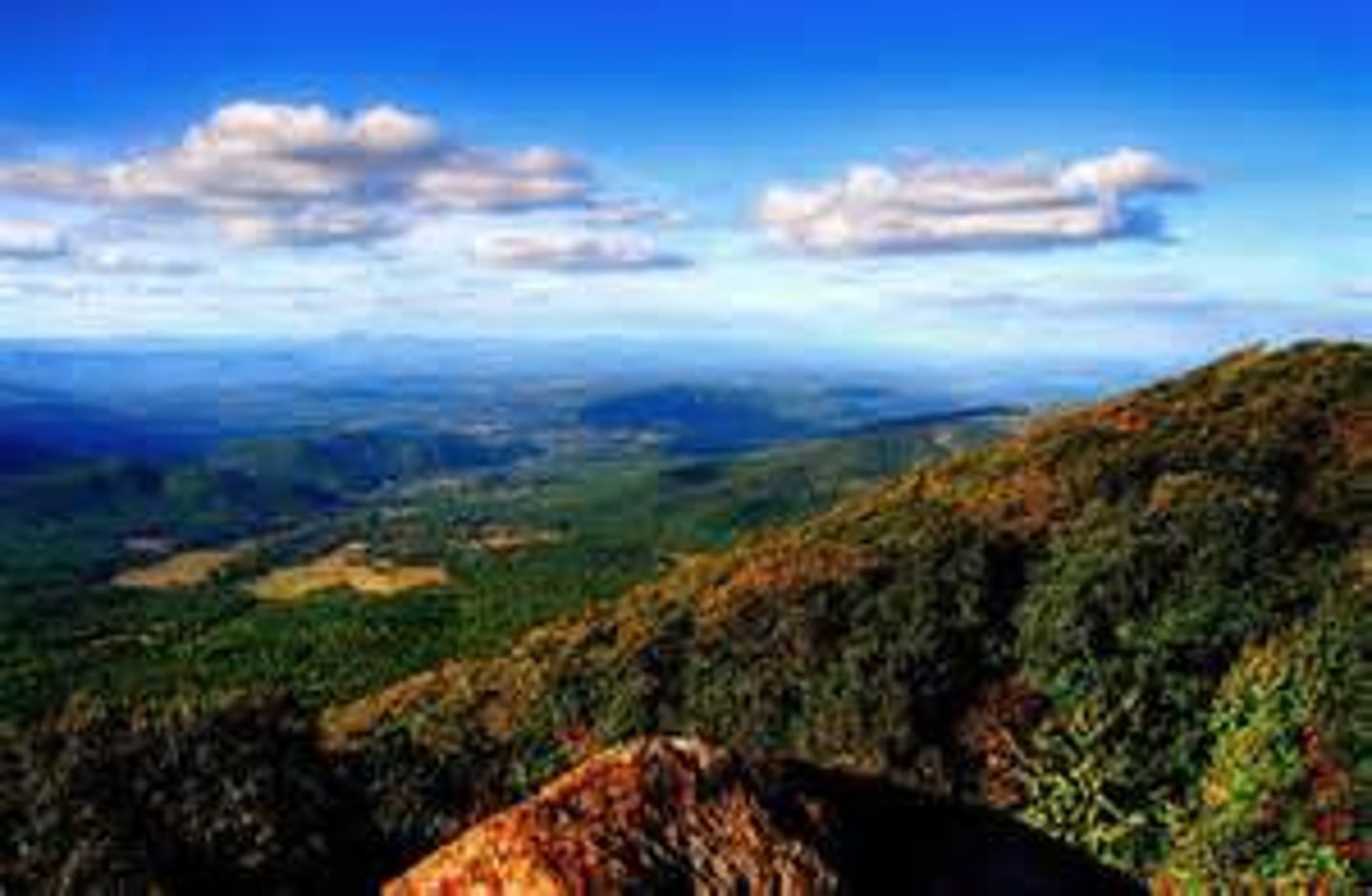 <p>/ˈmaʊn.tɪ.nəs/ • Adjective • B2 • Having many mountains • Có nhiều núi; thuộc miền núi • The mountainous region is prone to landslides during heavy rains.</p>