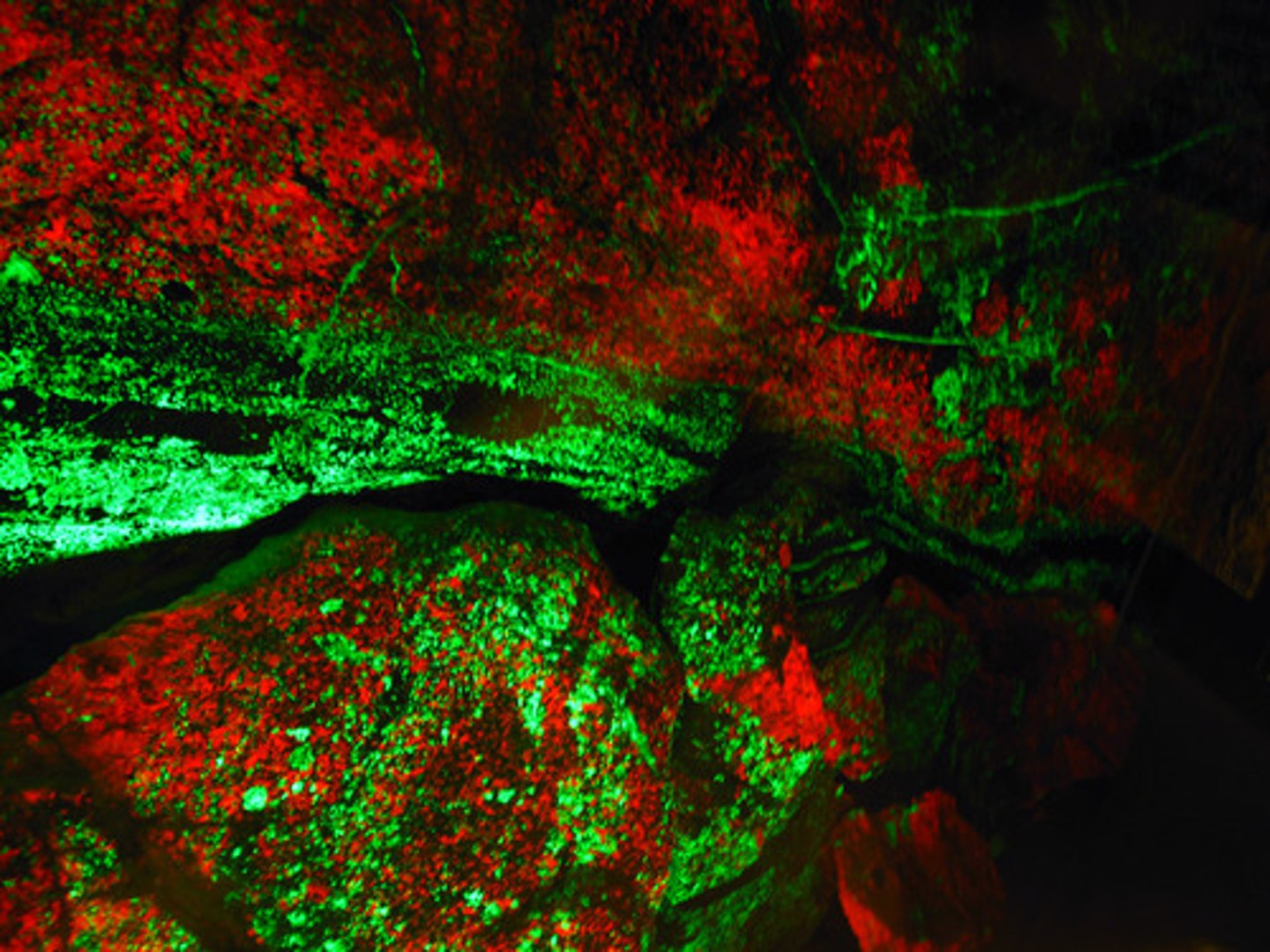 <p>continuous emission of light from a substance requiring neither heat nor sustained exposure to radiation</p>