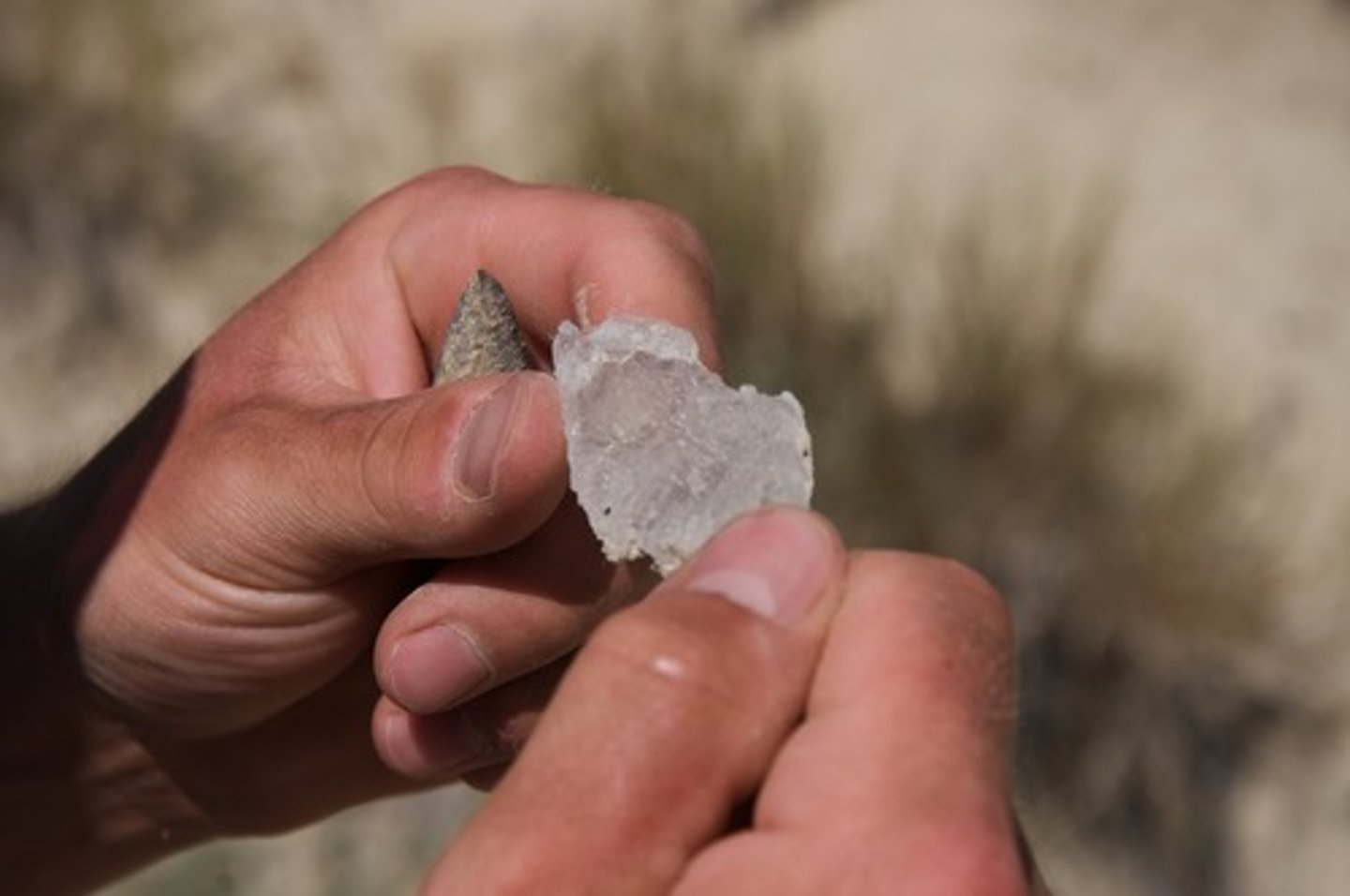 <p>a powerful stimulant derived from the coca plant.</p><p>- found in cocaine products, the pure substance</p><p>- this increases neural activity, leading to euphoria, increased energy, and alertness</p>