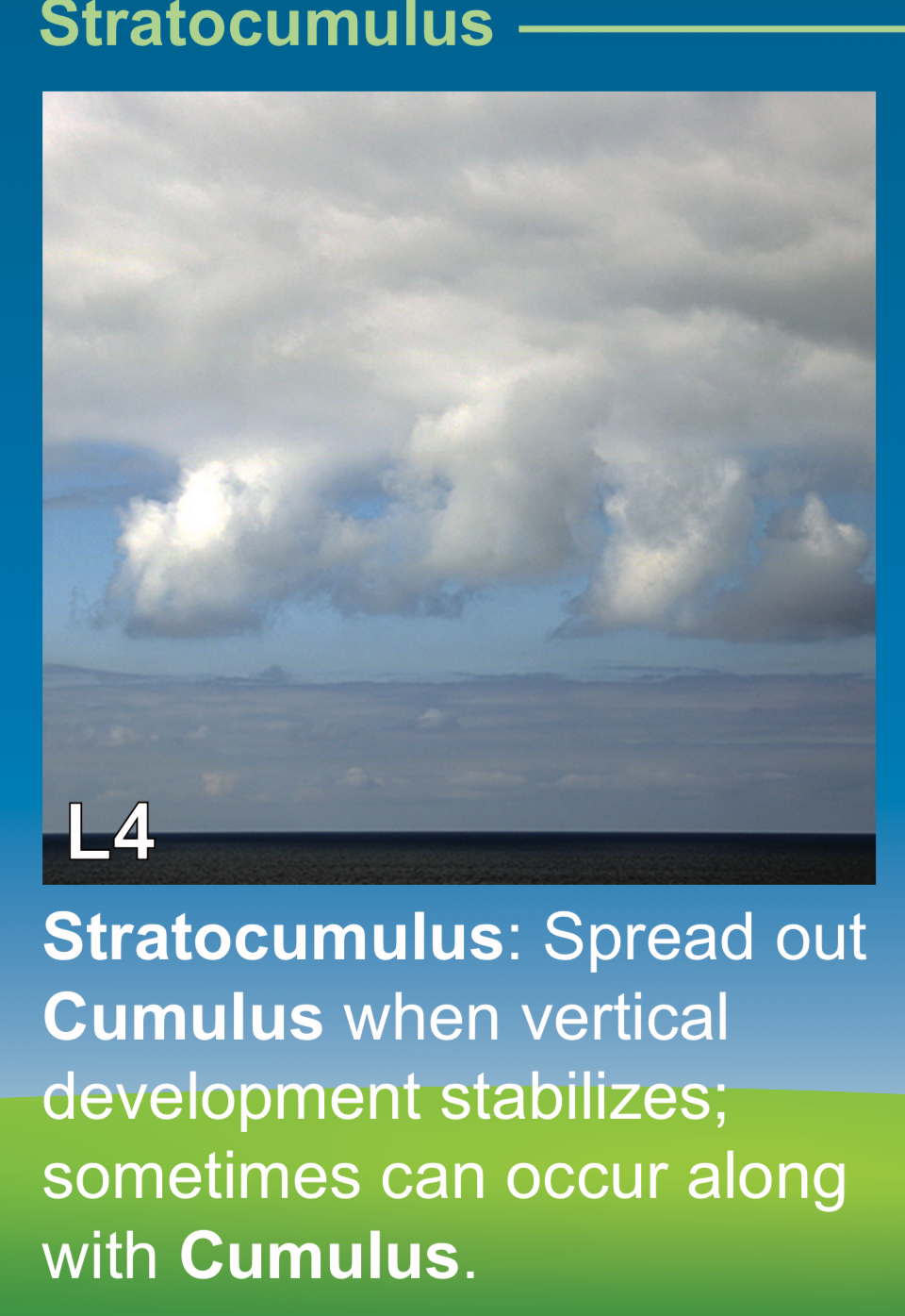<p>STRATOCUMULUS spread out cumulus when vertical development stabilizes /// stratocumulus - que se forman por dispersion de cumulus cuando el desarrollo vertical se estabiliza </p>