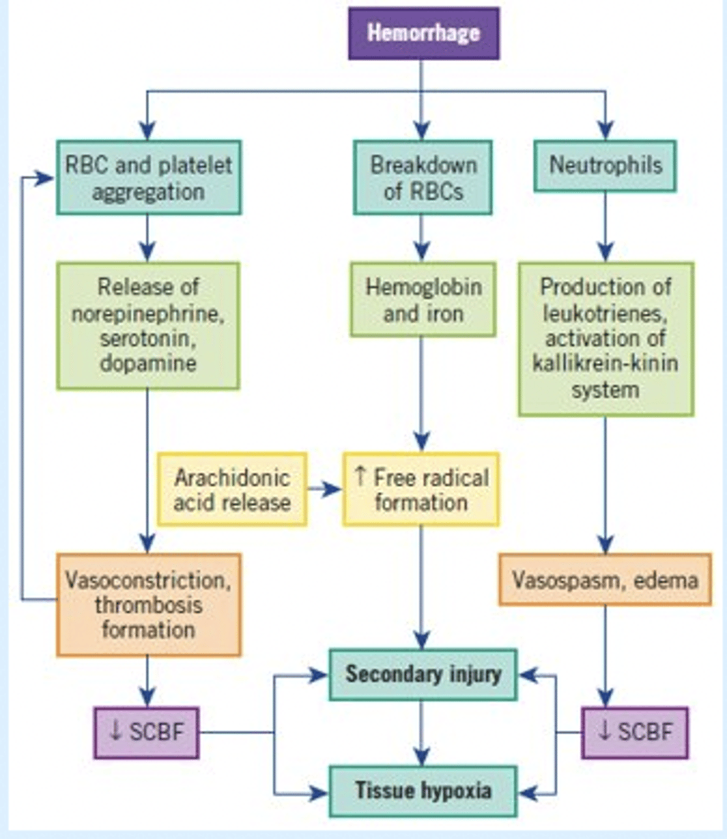 <p>Events Leading to Spinal Cord Ischemia and Hypoxia of Second Injury</p>