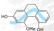 <p>[Phenolic Compounds] What is the classification of this</p>