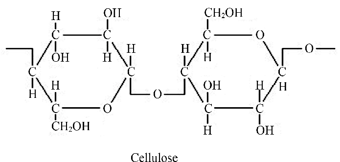 <p>structural  polysaccharide, most abundant organic molecule, present in plant cell walls, long chain of beta glucose units joined by glyosidic bonds, hydrogen bonds form between OH groups, several layers of parallel fibers to strengthen structure, allows entry of water and its solutes</p>