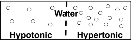 <p><strong><span style="color: yellow">Direction of osmosis is determined by comparing total solute concentrations</span></strong></p><p><strong><span style="color: red">Hypertonic</span></strong> - high solute (high osmolarity)</p><p><strong><span style="color: blue">Hypotonic</span></strong> - low solute (low osmolarity)</p><p><strong><span style="color: green">Isotonic</span></strong> - equal solute concentration (no net water flow)</p><p><img src="https://knowt-user-attachments.s3.amazonaws.com/dc6d2b6f-bb63-4273-a851-fc50e7f91c2c.jpeg"></p>