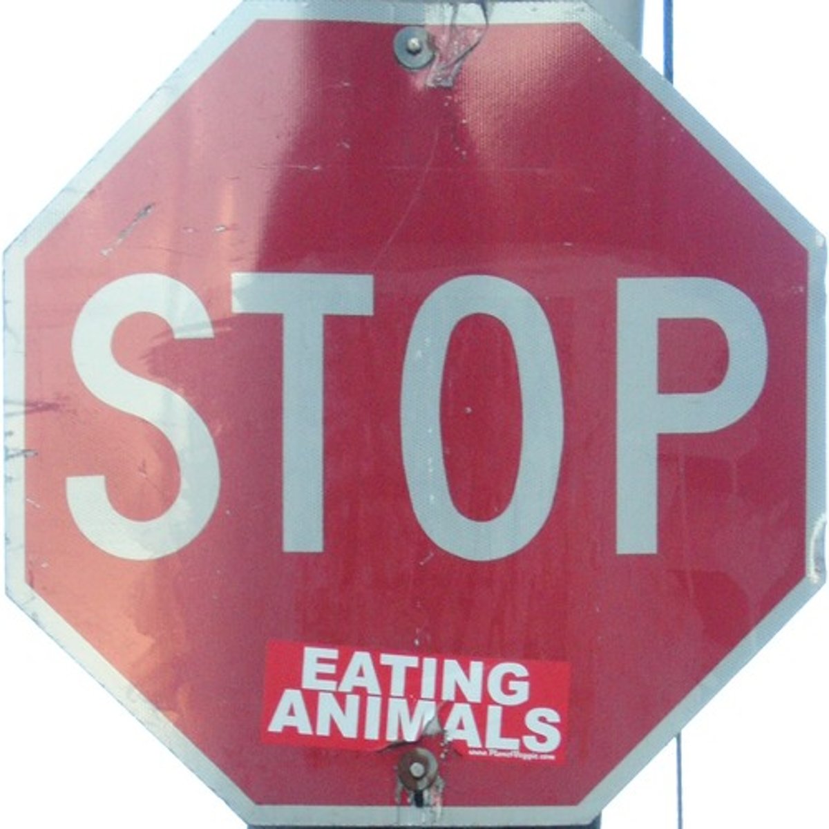 <p>A natural pause or break in a line of poetry, usually near the middle of the line.</p>