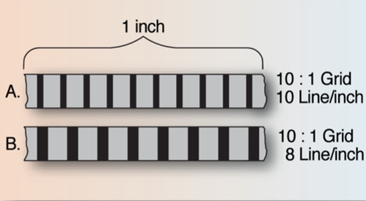 <p>The number of grid lines per inch or centimeter</p>