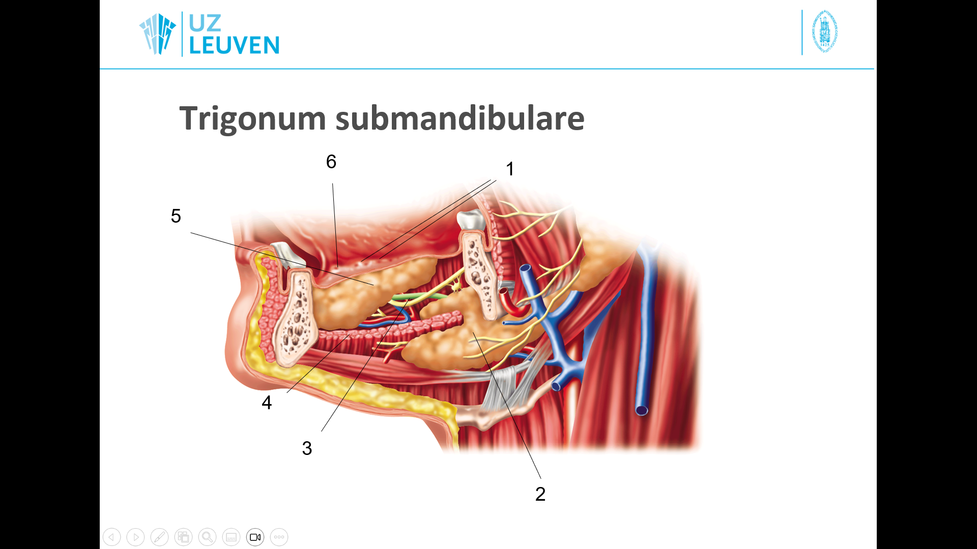 <p>5</p>