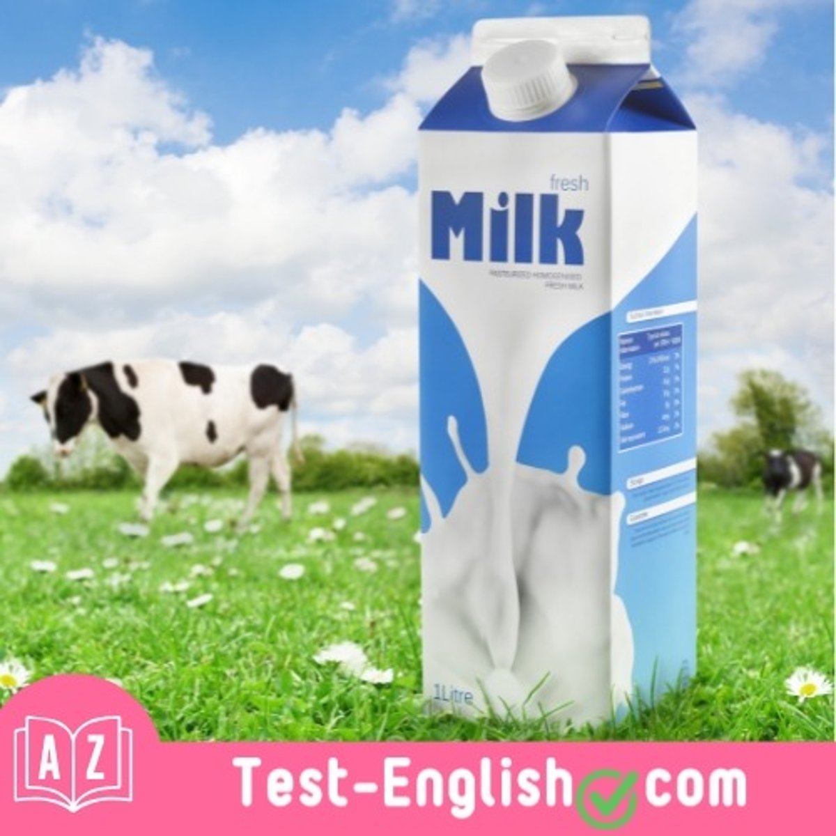 <p>Can you buy a _____ of milk?</p>