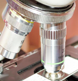 <p>What is the part of the microscope? What is its function?</p>