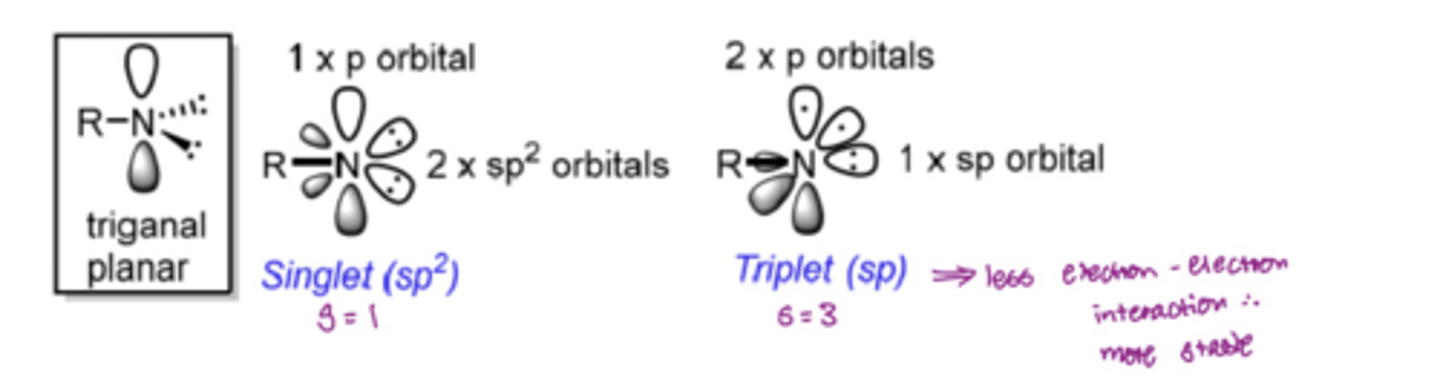 <p>analogues if carbenes</p><p>nitrogen has 6 valence electrons</p><p>2 electrons involved in bonding</p><p>4 non-bonding electrons</p><p>can be a singlet (sp2 hybridised- electrons paired in 2 orbitals)</p><p>can be a triplet (sp hybridised- one electron in one orbital, one electron in another orbital, 2 electrons in another orbital)</p>