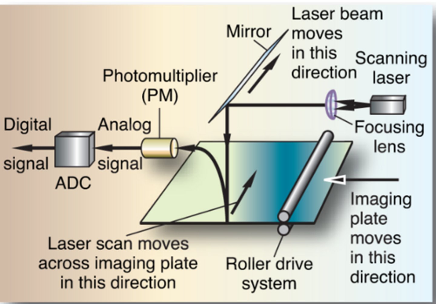 <p>Steps to reading PSP image data: FIFTH step</p>