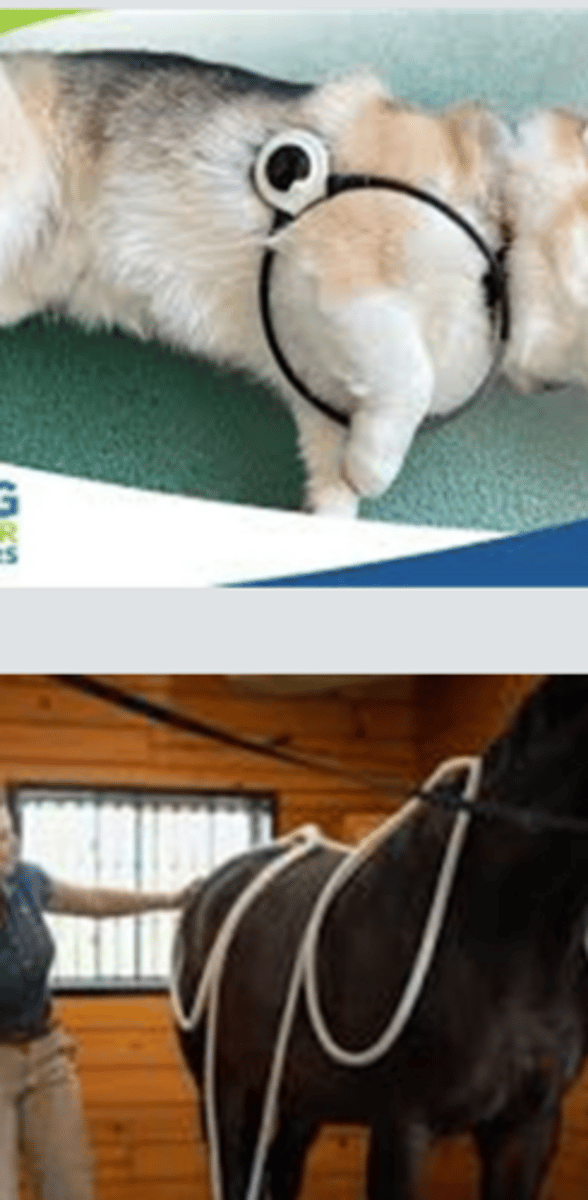 <p>What is this modality, used for post op healing, delayed union fractures, and chronic inflammation?</p>