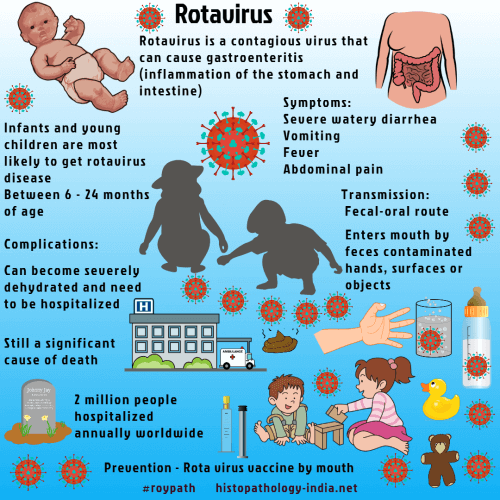 <p><strong>What is Rotavirus</strong></p>