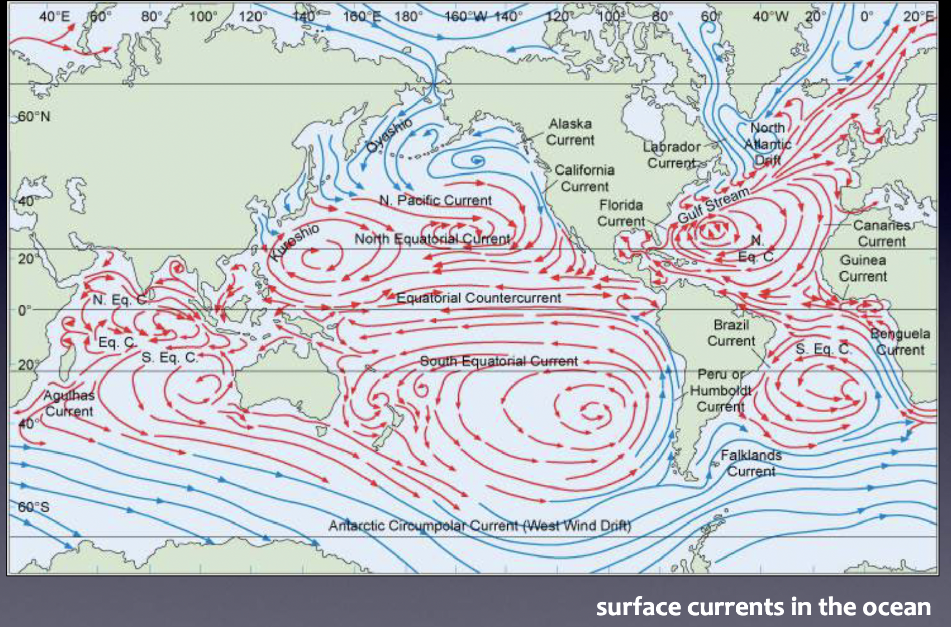 <p>Wind-driven; horizontal movement in upper 10% of water, occur above and within the pycnocline</p>