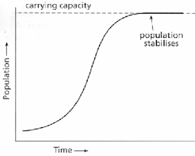 <p>The S-curve is a more realistic model of population growth in an ecosystem. It contains the J-curve at the start as at this time there are no limiting factors.</p>