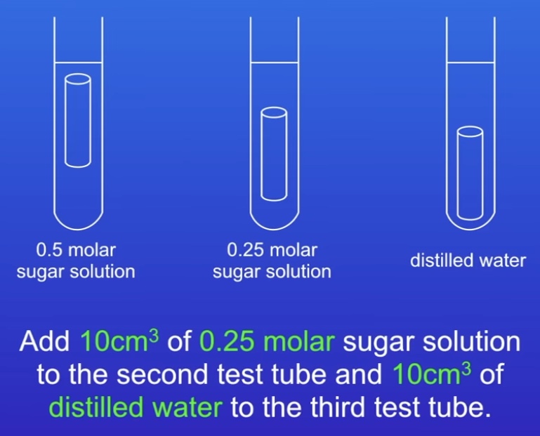 <ol><li><p>Peel potato skin</p></li><li><p>Use cork borer to prode 3 cylinder</p></li><li><p>Cut to 3cm</p></li><li><p>Measure mass</p></li><li><p>Add solution to test tubes</p></li><li><p>Roll potato onto paper towels</p></li><li><p>Measure length &amp; mass</p></li><li><p>Calculate % change</p></li></ol>