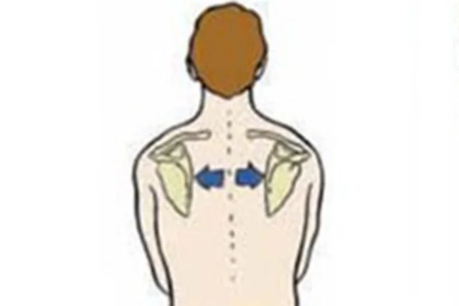 <p>what is this scapular motion?</p>