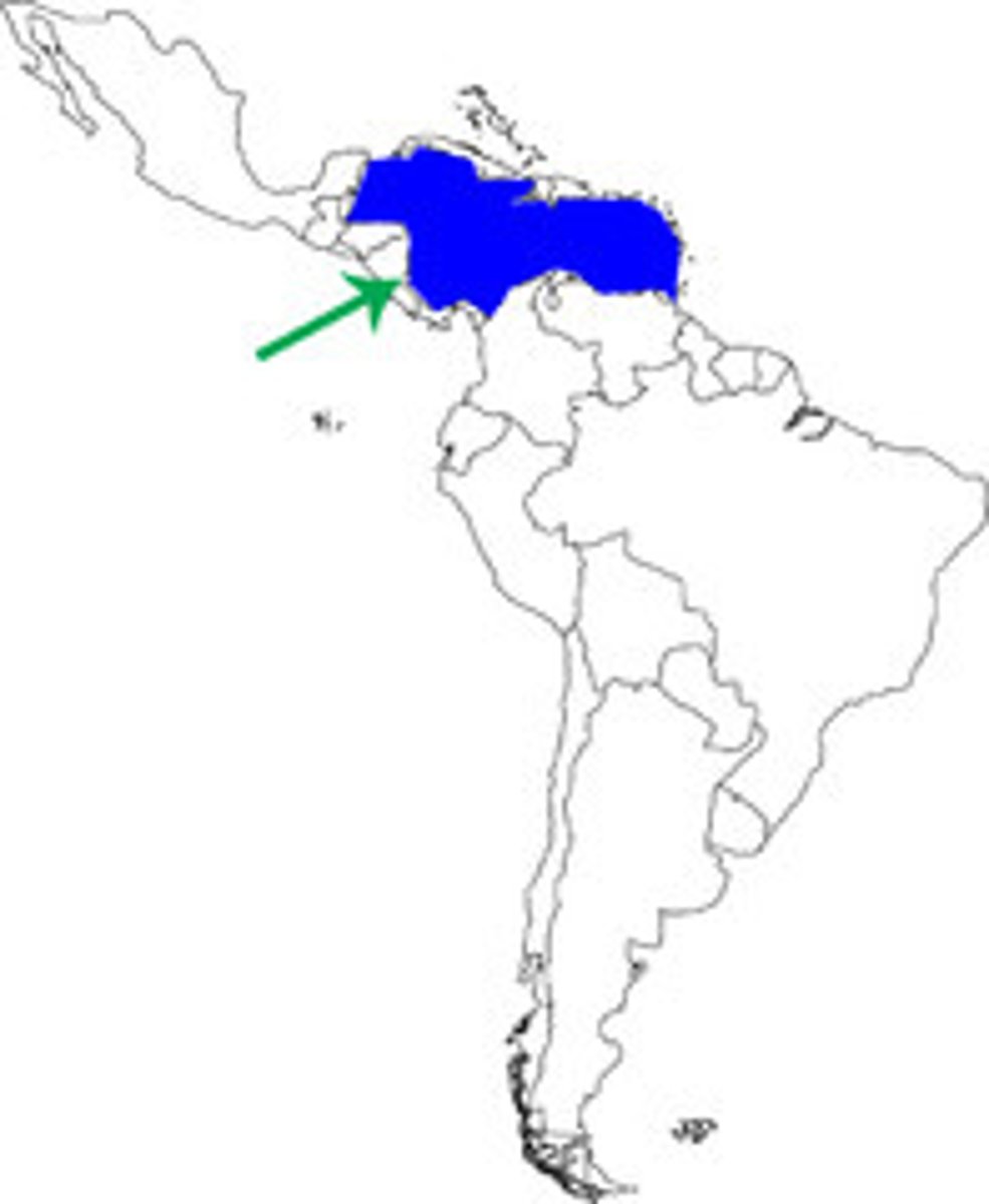 <p>Caribbean Sea</p>