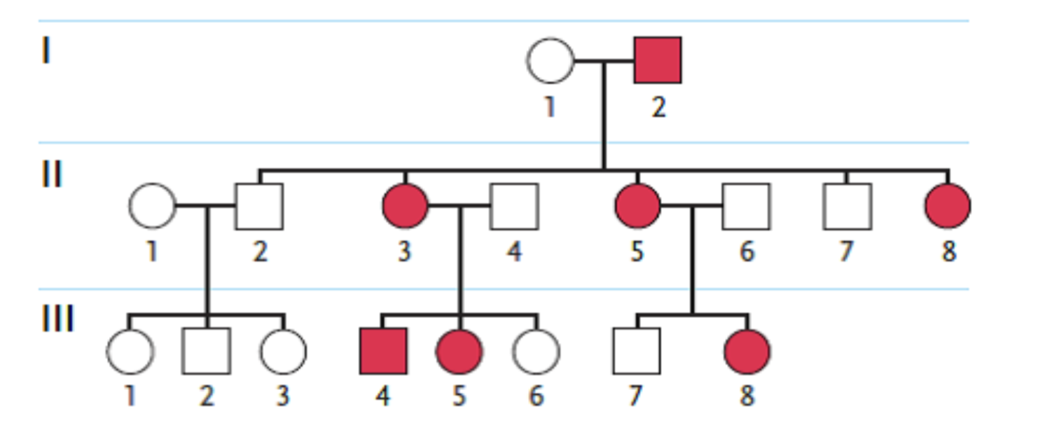 <p><span style="background-color: transparent; font-family: "Times New Roman", serif;"><span>79. Examine the pedigree in the figure above. Individuals affected by the genetic condition in question are indicated by filled squares or circles. Which inheritance pattern is most likely correct for this condition in this family?</span></span></p><table style="min-width: 75px;"><colgroup><col style="min-width: 25px;"><col style="min-width: 25px;"><col style="min-width: 25px;"></colgroup><tbody><tr><td colspan="1" rowspan="1" style="vertical-align: top; overflow: hidden; overflow-wrap: break-word;"><p><span style="background-color: transparent;"><span> </span></span></p></td><td colspan="1" rowspan="1" style="vertical-align: top; padding: 1.5pt 0pt; overflow: hidden; overflow-wrap: break-word;"><p><span style="background-color: transparent; font-family: "Times New Roman", serif;"><span>a. </span></span></p></td><td colspan="1" rowspan="1" style="vertical-align: top; padding: 1.5pt 20pt 1.5pt 0pt; overflow: hidden; overflow-wrap: break-word;"><p><span style="background-color: transparent; font-family: "Times New Roman", serif;"><span>autosomal dominant</span></span></p></td></tr><tr><td colspan="1" rowspan="1" style="vertical-align: top; overflow: hidden; overflow-wrap: break-word;"><p><span style="background-color: transparent;"><span> </span></span></p></td><td colspan="1" rowspan="1" style="vertical-align: top; padding: 1.5pt 0pt; overflow: hidden; overflow-wrap: break-word;"><p><span style="background-color: transparent; font-family: "Times New Roman", serif;"><span>b. </span></span></p></td><td colspan="1" rowspan="1" style="vertical-align: top; padding: 1.5pt 20pt 1.5pt 0pt; overflow: hidden; overflow-wrap: break-word;"><p><span style="background-color: transparent; font-family: "Times New Roman", serif;"><span>X-linked recessive</span></span></p></td></tr><tr><td colspan="1" rowspan="1" style="vertical-align: top; overflow: hidden; overflow-wrap: break-word;"><p><span style="background-color: transparent;"><span> </span></span></p></td><td colspan="1" rowspan="1" style="vertical-align: top; padding: 1.5pt 0pt; overflow: hidden; overflow-wrap: break-word;"><p><span style="background-color: transparent; font-family: "Times New Roman", serif;"><span>c. </span></span></p></td><td colspan="1" rowspan="1" style="vertical-align: top; padding: 1.5pt 20pt 1.5pt 0pt; overflow: hidden; overflow-wrap: break-word;"><p><span style="background-color: transparent; font-family: "Times New Roman", serif;"><span>X-linked dominant</span></span></p></td></tr><tr><td colspan="1" rowspan="1" style="vertical-align: top; overflow: hidden; overflow-wrap: break-word;"><p><span style="background-color: transparent;"><span> </span></span></p></td><td colspan="1" rowspan="1" style="vertical-align: top; padding: 1.5pt 0pt; overflow: hidden; overflow-wrap: break-word;"><p><span style="background-color: transparent; font-family: "Times New Roman", serif;"><span>d. </span></span></p></td><td colspan="1" rowspan="1" style="vertical-align: top; padding: 1.5pt 20pt 1.5pt 0pt; overflow: hidden; overflow-wrap: break-word;"><p><span style="background-color: transparent; font-family: "Times New Roman", serif;"><span>cytoplasmic inheritance</span></span></p></td></tr><tr><td colspan="1" rowspan="1" style="vertical-align: top; overflow: hidden; overflow-wrap: break-word;"><p><span style="background-color: transparent;"><span> </span></span></p></td><td colspan="1" rowspan="1" style="vertical-align: top; padding: 1.5pt 0pt; overflow: hidden; overflow-wrap: break-word;"><p><span style="background-color: transparent; font-family: "Times New Roman", serif;"><span>e. </span></span></p></td><td colspan="1" rowspan="1" style="vertical-align: top; padding: 1.5pt 20pt 1.5pt 0pt; overflow: hidden; overflow-wrap: break-word;"><p><span style="background-color: transparent; font-family: "Times New Roman", serif;"><span>autosomal recessive</span></span></p></td></tr></tbody></table><p></p>