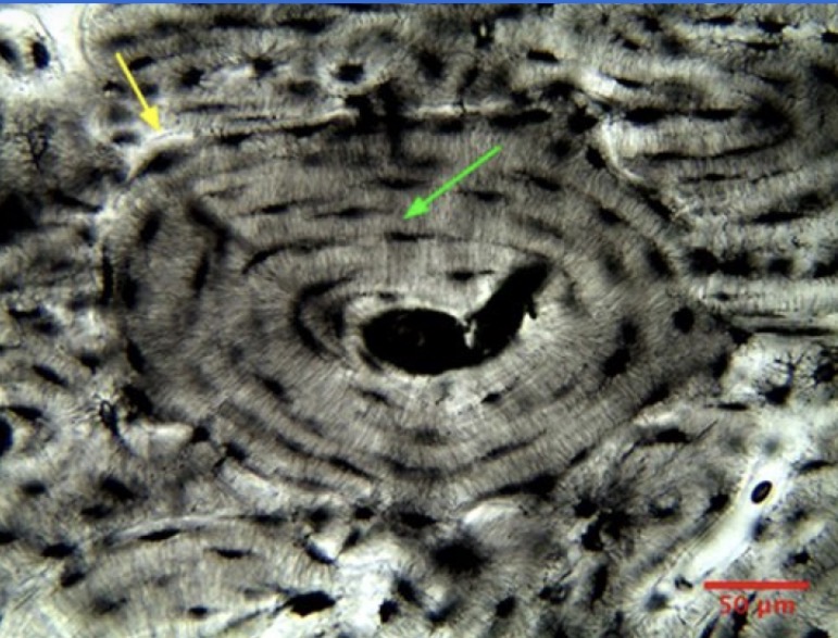 <p>what is the function?</p>
