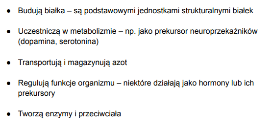 <p>budowa białek-podstawowe jednostki strukturalne białek, uczestniczą w metabolizmie jako np. prekursory neuroprzekaźników jak np. serotonina, transportują i magazynują azot, regulują funkcje organizmu np. hormony, tworzą enzymy i przeciwciała</p>