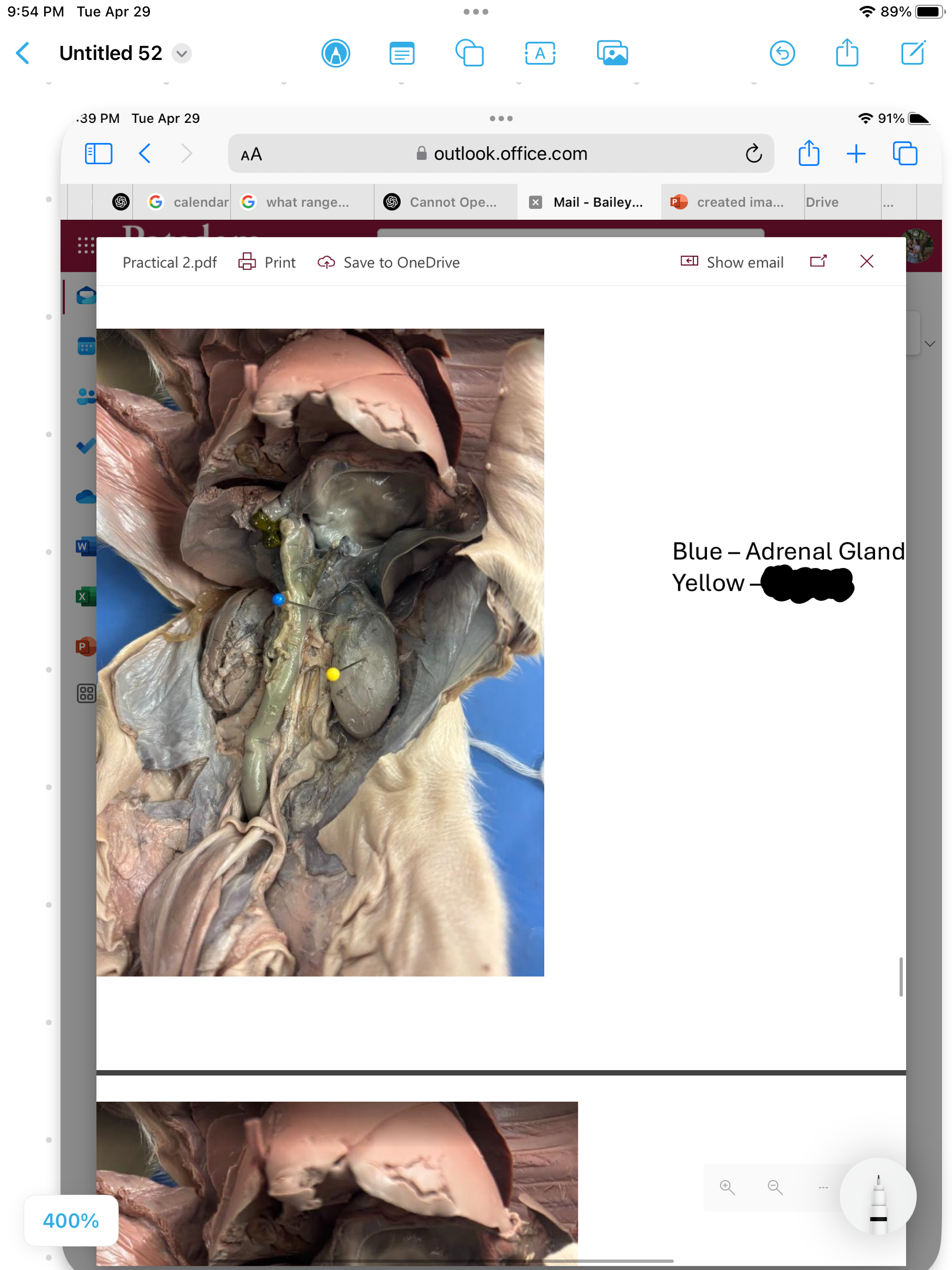 <p>label the area</p>