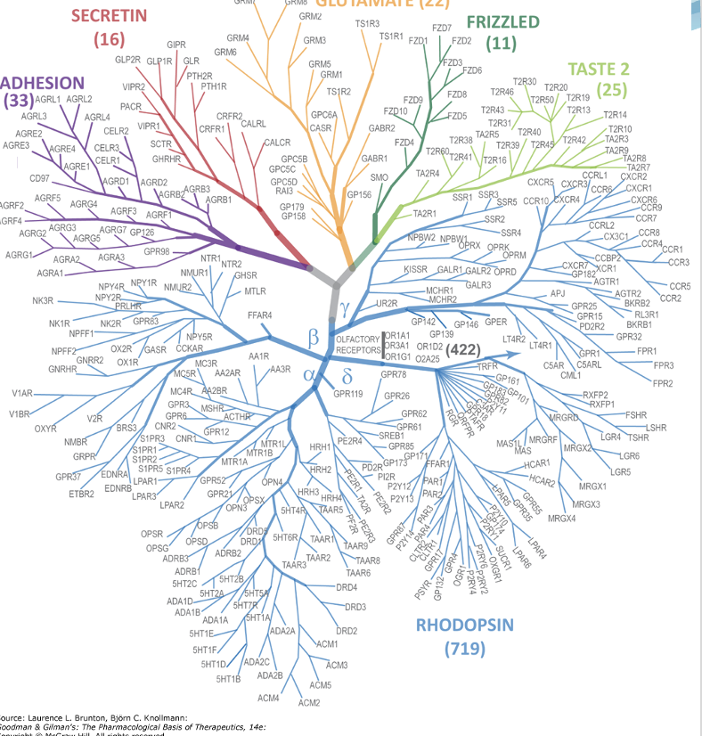 <p>What are some examples of ligands for GPCRs?</p>