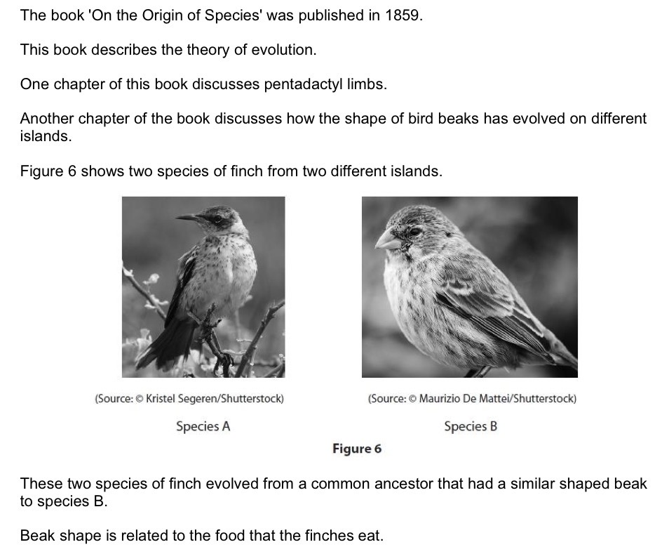 <p>Describe how the thinner beak of species A is as a result of evolution.</p>