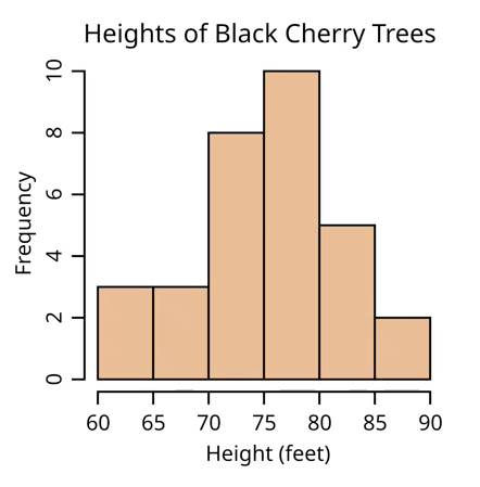 <ul><li><p>continuous data </p><ul><li><p>interval or ratio</p></li></ul></li><li><p>bars TOUCH to represent numerical continuity </p></li></ul><p></p>